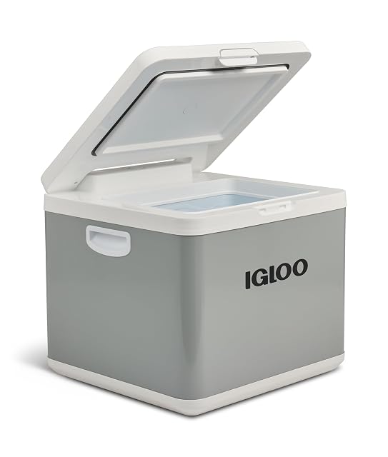 Frigorifero a compressore ibrido Igloo IH45 con coperchio aperto