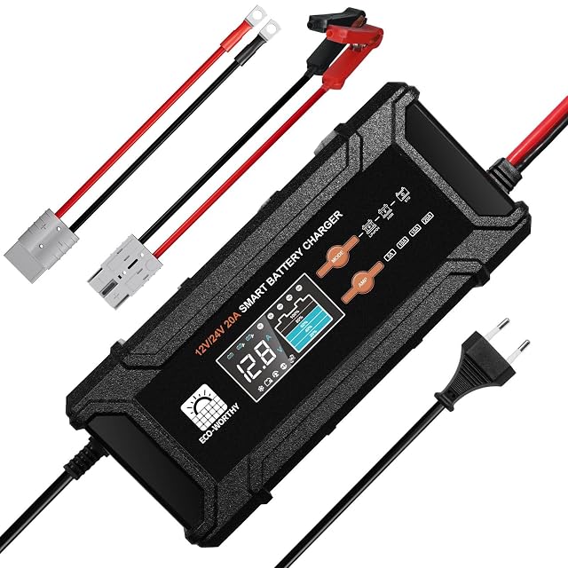 Caricabatteria LiFePO4 e piombo-acido ECO-WORTHY da 20 A