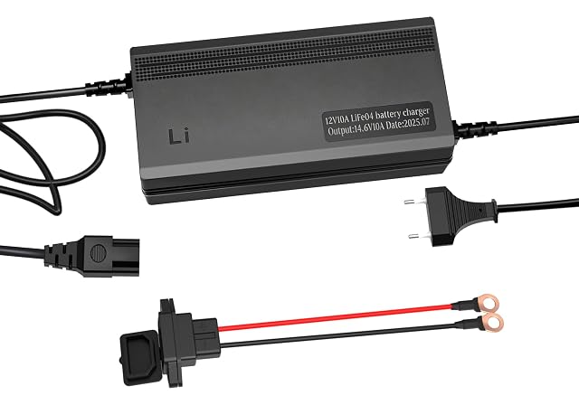 Caricabatteria LiFePO4 Guanlan da 14,6 V e 10 A
